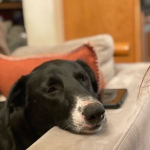 Meet your Posher, Jacqueline